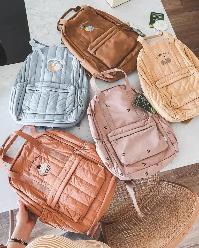 Kids Backpack for Travelling or School